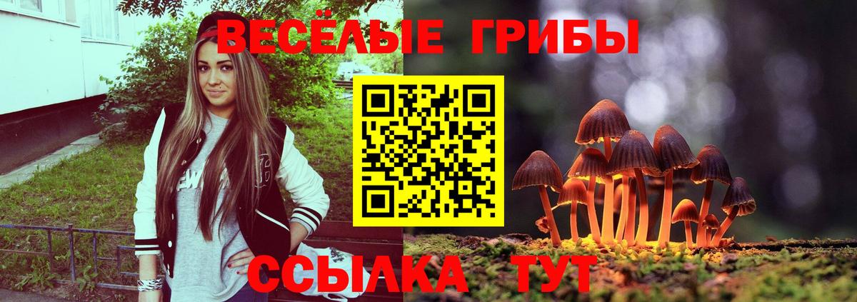 Псилоцибиновые грибы Psilocybine cubensis Гай