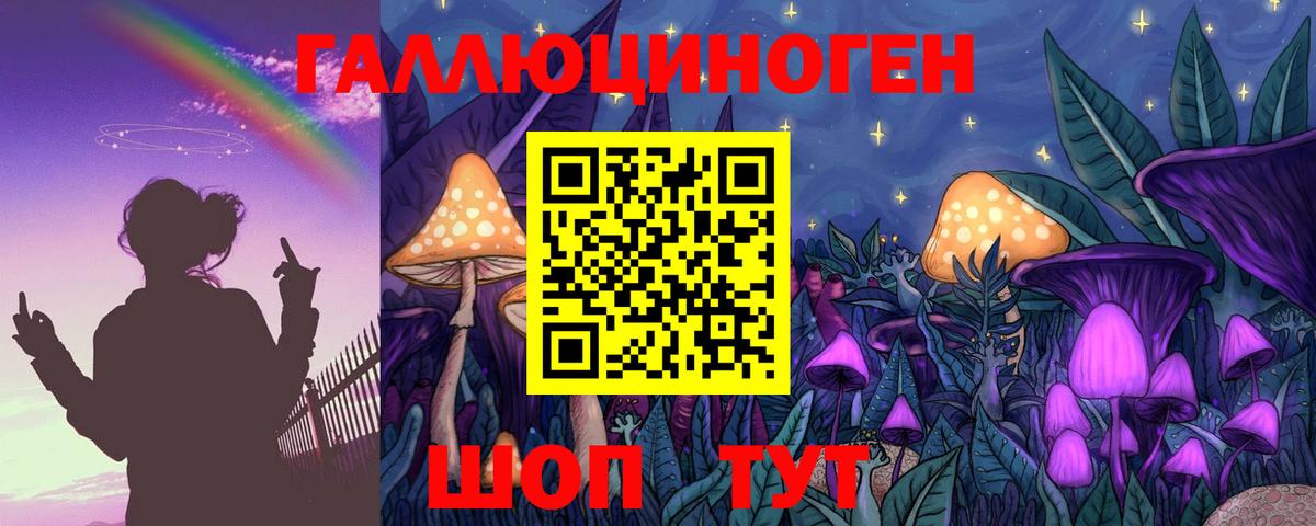 закладка  Галлюциногенные грибы прущие грибы  Вход с VPN  Гай  Галлюциногенные грибы мицелий 