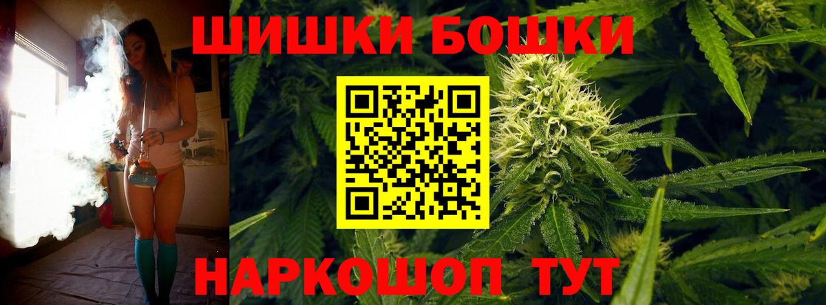 Бошки марихуана сатива Гай