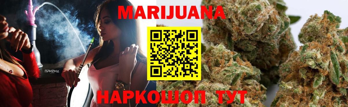 Гай  Бошки Шишки план  Вход с VPN  Марихуана планчик  Шишки марихуана гибрид 